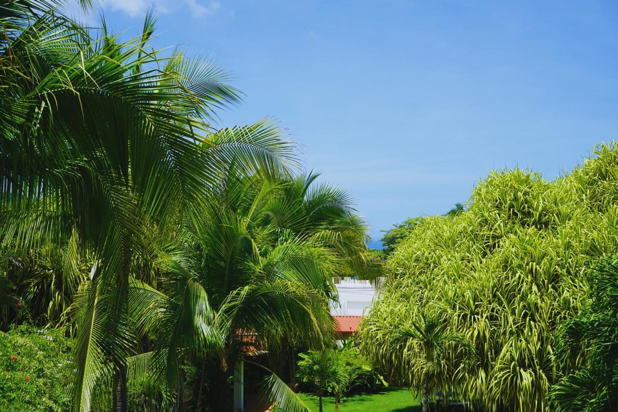 Hotel Villa Del Sol Coco Exterior photo